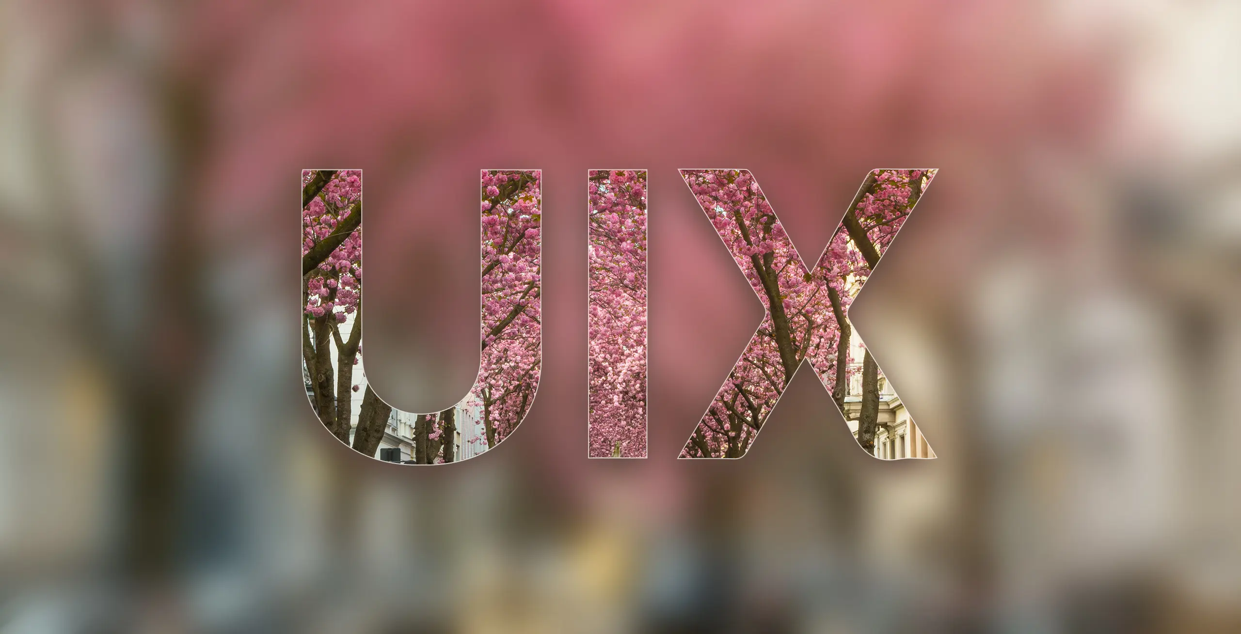 webdesign-development-bonn-digitale-loesungen-fuer-ihren-erfolg